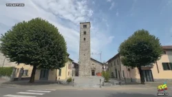 Erba, 15 linden trees to be cut down soon - Romanello: "I'm ready to chain myself to them to save...