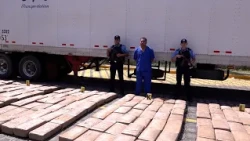 Police seize 1.9 tons of marijuana at El Guasaule
