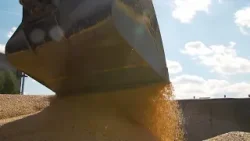 Falta de escoamento de milho ao Irã pode gerar sobreoferta no Brasil