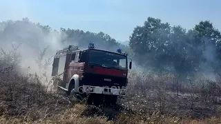 DIGJET KLOSI! Zjarri përfshin mullare me bar dhe pemë frutore, flakët po përhapen drejt pyllit