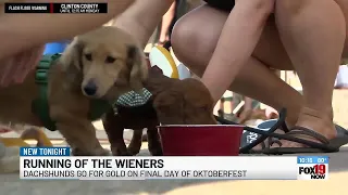 Running of the Wieners