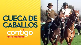 THEY DANCED THE CUECA! The skills of the Carabineros cavalry group - Contigo en la Mañana