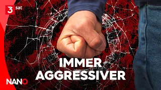 Why We Are Getting Angrier and Angrier I NANO