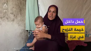 Pregnancy inside a displacement tent: The suffering of pregnant women in Gaza