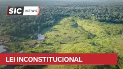 Ação no STF questiona regularização ambiental da Resex Jaci Paraná