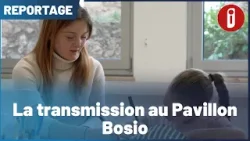 La transmission Pavillon Bosio La transmission Pavillon Bosio