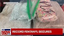 Record fentanyl seizures throughout Denver and Colorado | LiveNOW from FOX
