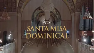 Sunday Mass - 09/20/2026