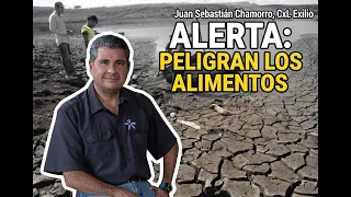🚨 CxL alerta de pérdidas por sequía y acusa al régimen Ortega-Murillo de no tener plan ante El Niño