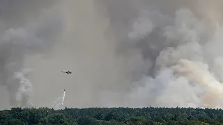 Сербия и Италия борются с несколькими лесными пожарами