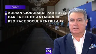 Adrian Cioroianu: Partidele par la fel de antagonice. PSD face jocul pentru AUR