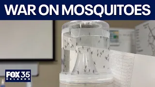 Drones, Radiation & GMOs: Florida’s next-gen anti-mosquito tactics explained