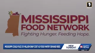 Mississippi could owe $75 million in SNAP costs as food pantry demand jumps 36%