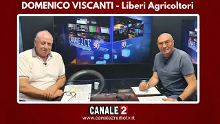 CANALE 2 C'E' - MIMMO VISCANTI - LIBERI AGRICOLTORI