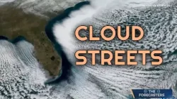 Cloud streets, perception of cold & a jellyfish discovery | The Forecasters