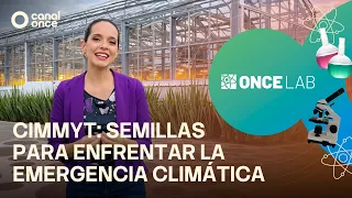 11 Lab - CIMMYT: Seeds for Facing the Climate Emergency (10/03/2026)