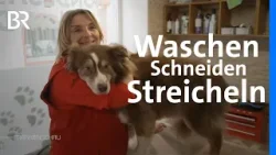Waschen, Schneiden, Föhnen - und Streicheln: Die Hundefriseurin aus Karlstadt | Frankenschau | BR