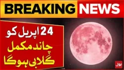 On April 24 moon will be Completely Pink In Different Country | Breaking News