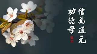 淨空老法師｜大經專修（二）｜半信半疑，不得受用-第0180集