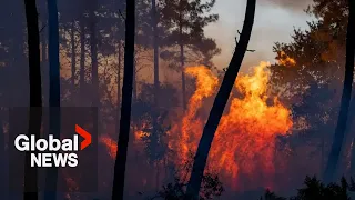 “Worst-case scenario”: Wildfires in France and Spain break records