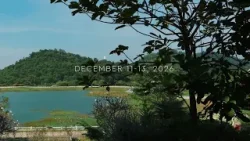 Tomorrowland Thailand | Wisdom Valley