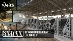 SUSTRAIA: Bizkaiko landa-bideak eta Nekatur