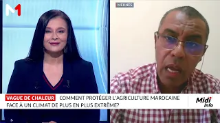 Climat extrême : comment protéger l´agriculture marocaine ? Analyse de Dr.Abdellah Aboudrar
