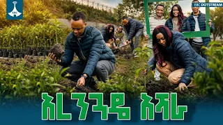 የኢሚግሬሽን እና ዜግነት አገልግሎት የ2018 ዓመታዊ አረንጓዴ አሻራ መርሐ ግብር  ETV | EBC | EBCDOTSTREAM