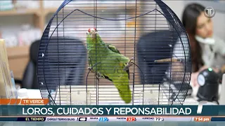 Green TR: Parrots, Care and Responsibility
