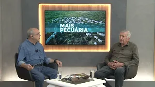 Higher valuations in São Paulo widen the gap in fat cattle prices