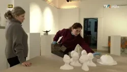 CVarte - Ana Maria Negara CVarte - Ana Maria Negara