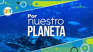 For Our Planet - Monday, August 03, 2026