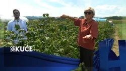 Donje Moštre, Gornja Zimča | Epizoda 11 | Od kuće do kuće | Hayat TV