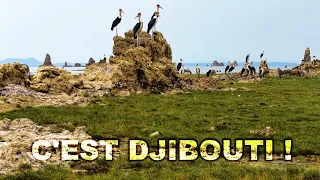 🇩🇯 C’EST DJIBOUTI ! | Découvrez l’autre visage du Lac Abbé