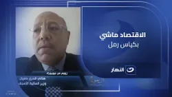 الاقتصاد المصري شغال بـ 50% رغم قوته.. هاني قدري دميان وزير المالية الأسبق مع لميس الحديدي