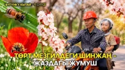 Төрт мезгилдеги Шинжаң – Жаздагы жумуш | ЖУҢГО ШИНЖАҢ радио теле станциясы