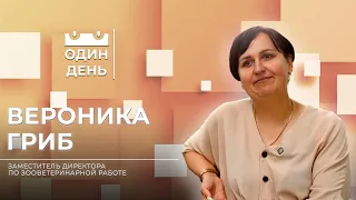 Один день в Парке животных | Вероника Гриб