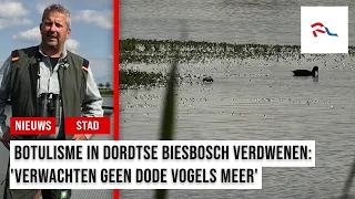 How did countless birds die in the Nieuwe Dordtse Biesbosch?