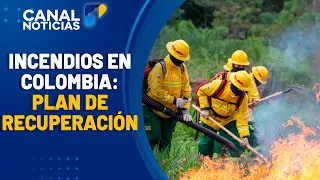 Recovery plan in Tolima following wildfires | Canal 1 News