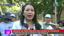 ?️MINSA: Acciones contra epidemias en Barrio Grenada, Managua