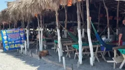 Comerciantes reportan bajas ventas en período vacacional