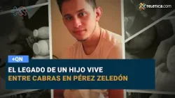 El legado de un hijo vive entre cabras en Pérez Zeledón
