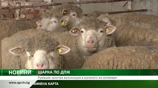 ШАРКА ПО ДПЖ: Румъния започва ваксинация в началото на октомври