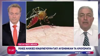 Ιός Δ. Νείλου «Καμπανάκι» από τα πολλά νέα κρούσματα – Ποιοι κινδυνεύουν–Τι λέει ο Θ. Βασιλακόπουλος