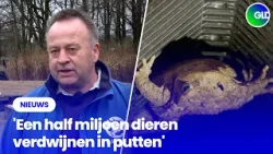 Padden vallen in de put en komen er nooit meer uit, maar er is een oplossing Padden vallen in de put en komen er nooit meer uit, maar er is een oplossing