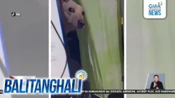 Clingyness ng aso na tila nag-panic nang mapansing hindi niya katabi pagkagising... | Balitanghali
