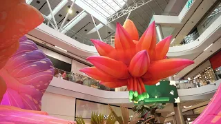 The Largest Experiential Orchid in Latin America is in Envigado