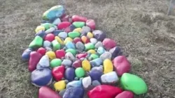 CEMENTERIO DE MASCOTAS