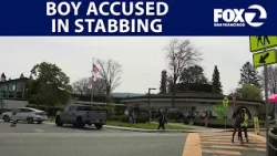 10-летний мальчик обвиняется в нанесении ножевых ранений девочке в школе в Маунтин-Вью | KTVU