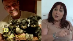 PERROSENACCION0310